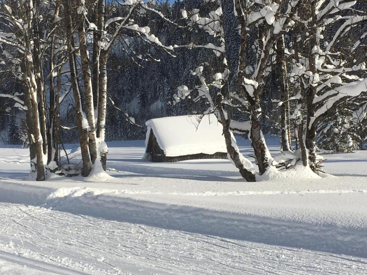 Appartementhaus Finis Ramsau am Dachstein Exteriör bild
